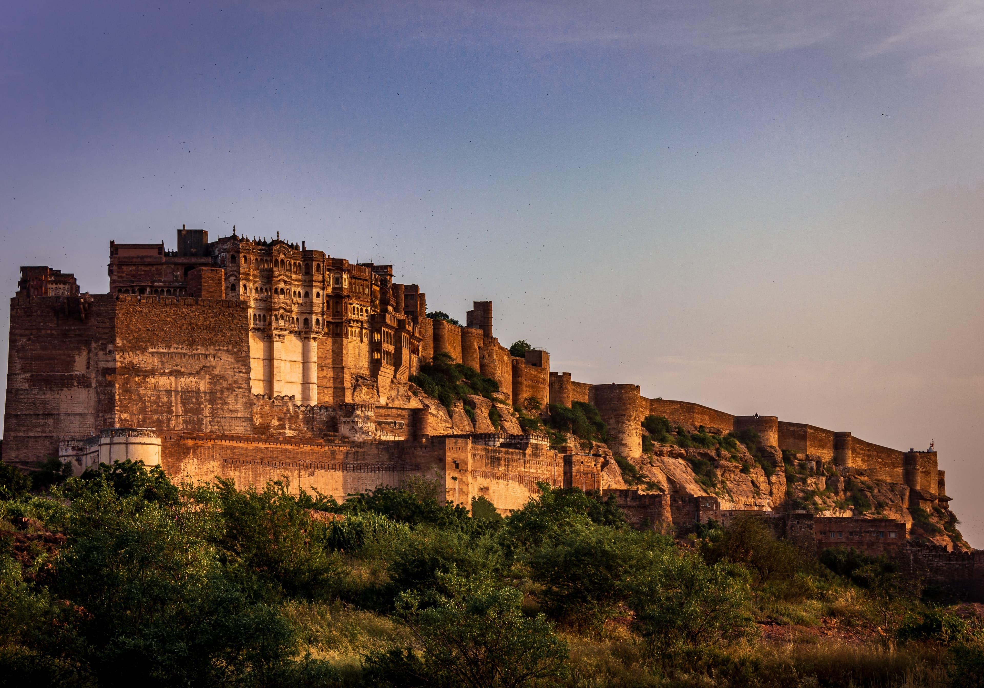 jodhpur